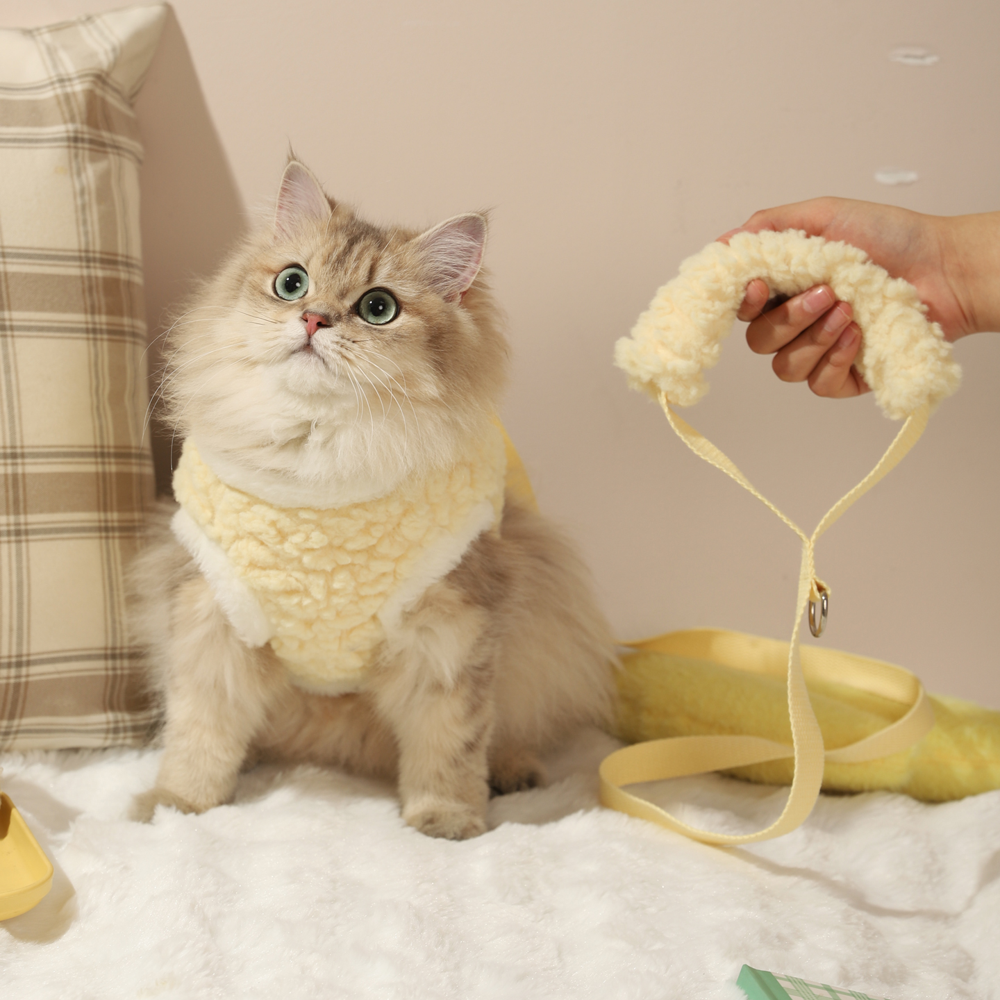 宠物牵引绳加绒保暖猫咪绳子可爱