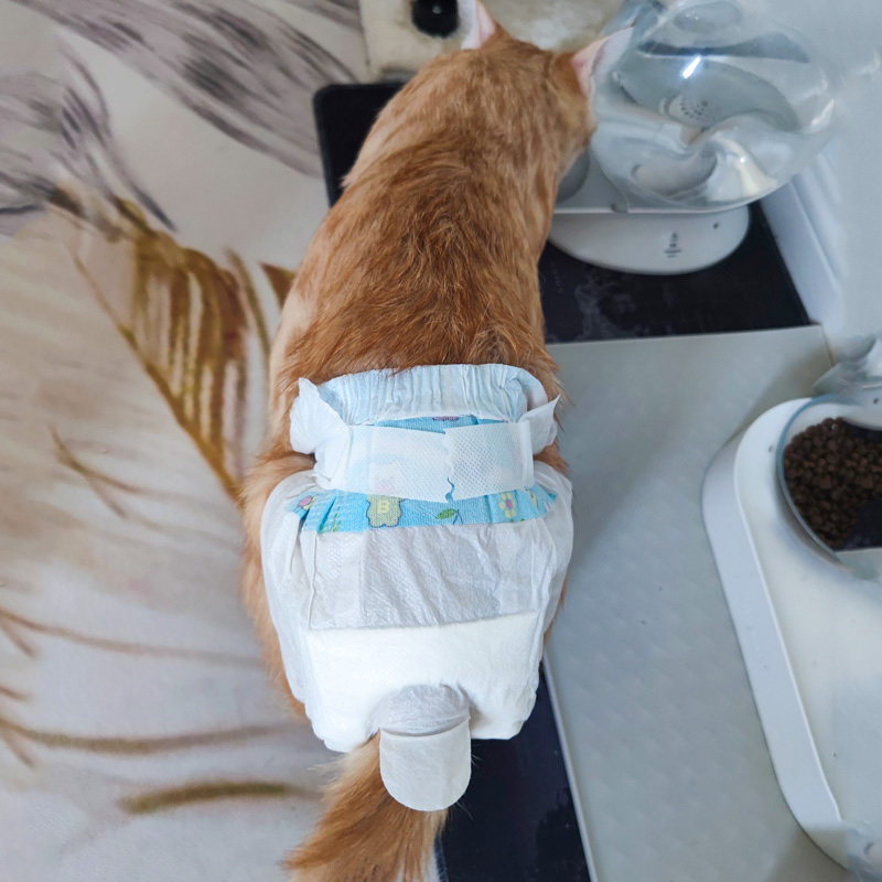 猫咪尿不湿宠物纸尿裤猫安全裤母猫避孕裤猫用生理裤公猫防交配裤