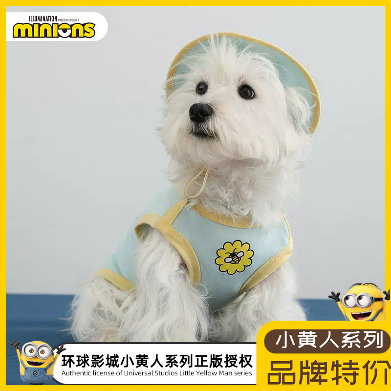 小黄人春田花花纯棉背心宠物渔夫帽小猫小狗春天外出踏青搭配服饰,宠物/宠物食品及用品,狗宠物服装/雨衣,淘宝优惠券,粉丝福利购,淘宝优惠卷