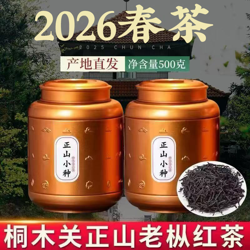 2026新茶桐木关正山小种红茶特级茶叶高山老枞红茶浓香型罐装500g