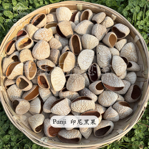 黑果植物果实壳音疗解压