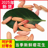 2025年新瘪花生五香花生米孕妇零食小粒秕子生花生200克真空包装