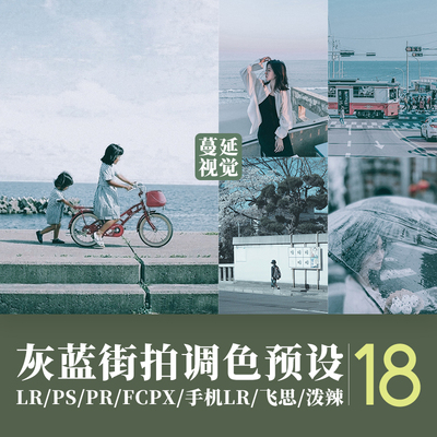 LR预设莫兰迪灰蓝人像PR/FCPX达芬奇LUT像素蛋糕LR调色剪映PS滤镜