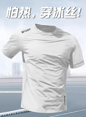 SPORT冰丝速干短袖2025新款夏季T恤宽松男款休闲运动透气圆领薄款