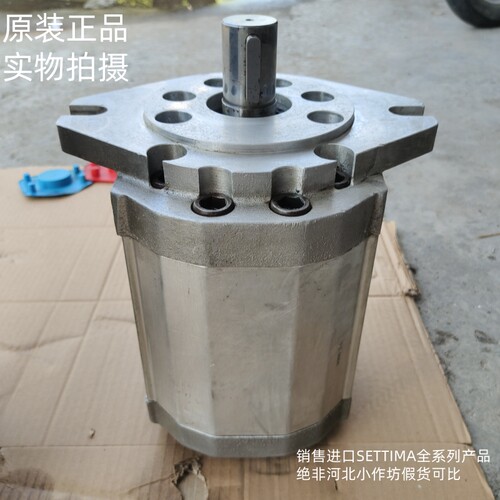 意大利进口SETTIMA螺杆泵G72V125CCFSAEDACMDLV伺服系统高压油泵