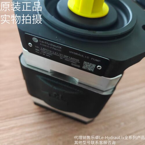 力士乐乐卓内啮合齿轮泵LXPG2H-LX1/025RF1A003/10/13/16原装现货