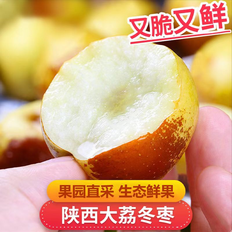 陕西大荔冬枣新鲜水果冰糖脆甜特大5斤孕妇水果当季枣子鲜枣包邮