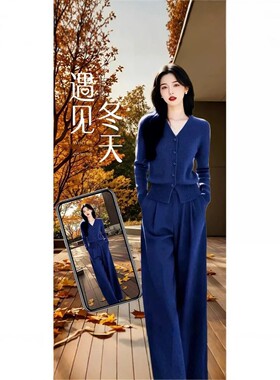2025春装搭配一整套大码胖毛衣开衫裤子盐系轻熟蓝色针织两件
