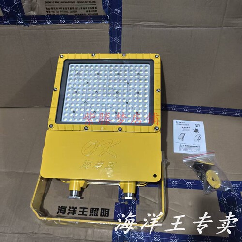 海洋王BFC8119-200LED防爆泛光灯