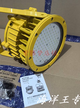 海洋王BFC8196LED防爆泛光灯70w100w井上钻井平台防爆平台灯IP66