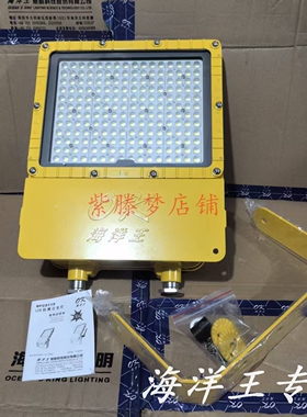 海洋王BFC8119LED防爆泛投光灯ExnRIICT5Gc ExtbIIICT95CDb IP66