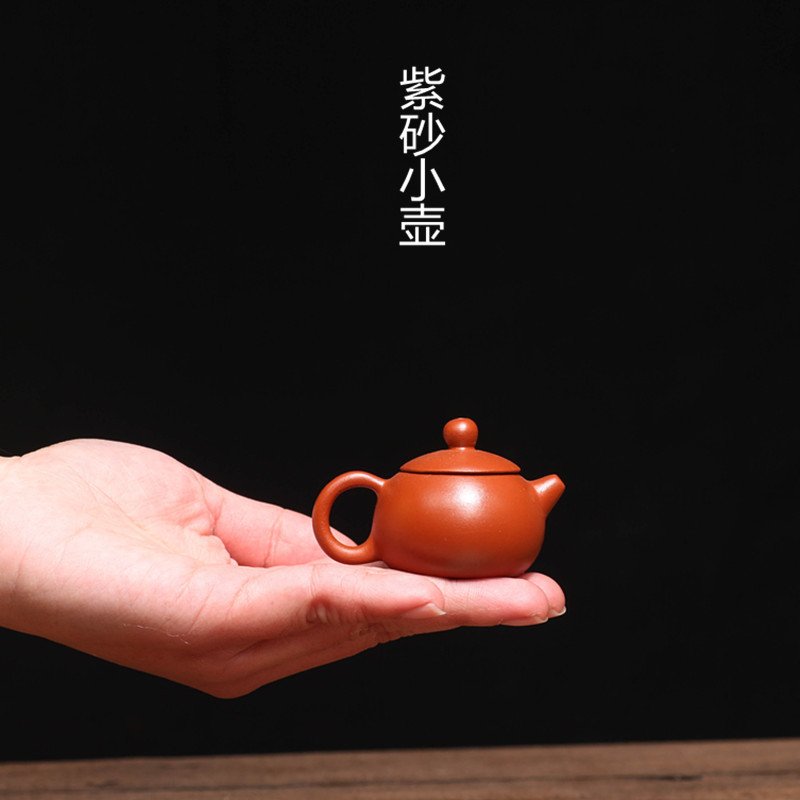 进口宜兴紫砂茶宠壶朱泥指尖小壶把玩水平西施石瓢葫芦茶壶茶具