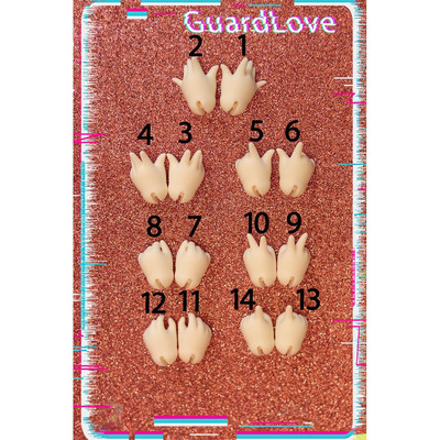 三万院长GL1/6邦尼体手型