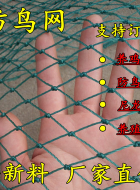 大棚尼龙线防鸟网养殖天网葡萄园樱桃园果园果树防鸟用网鱼塘丝网