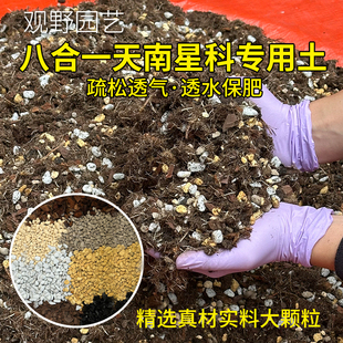 观野园艺八合一南星科专用土大颗粒疏松透气透水保肥营养土