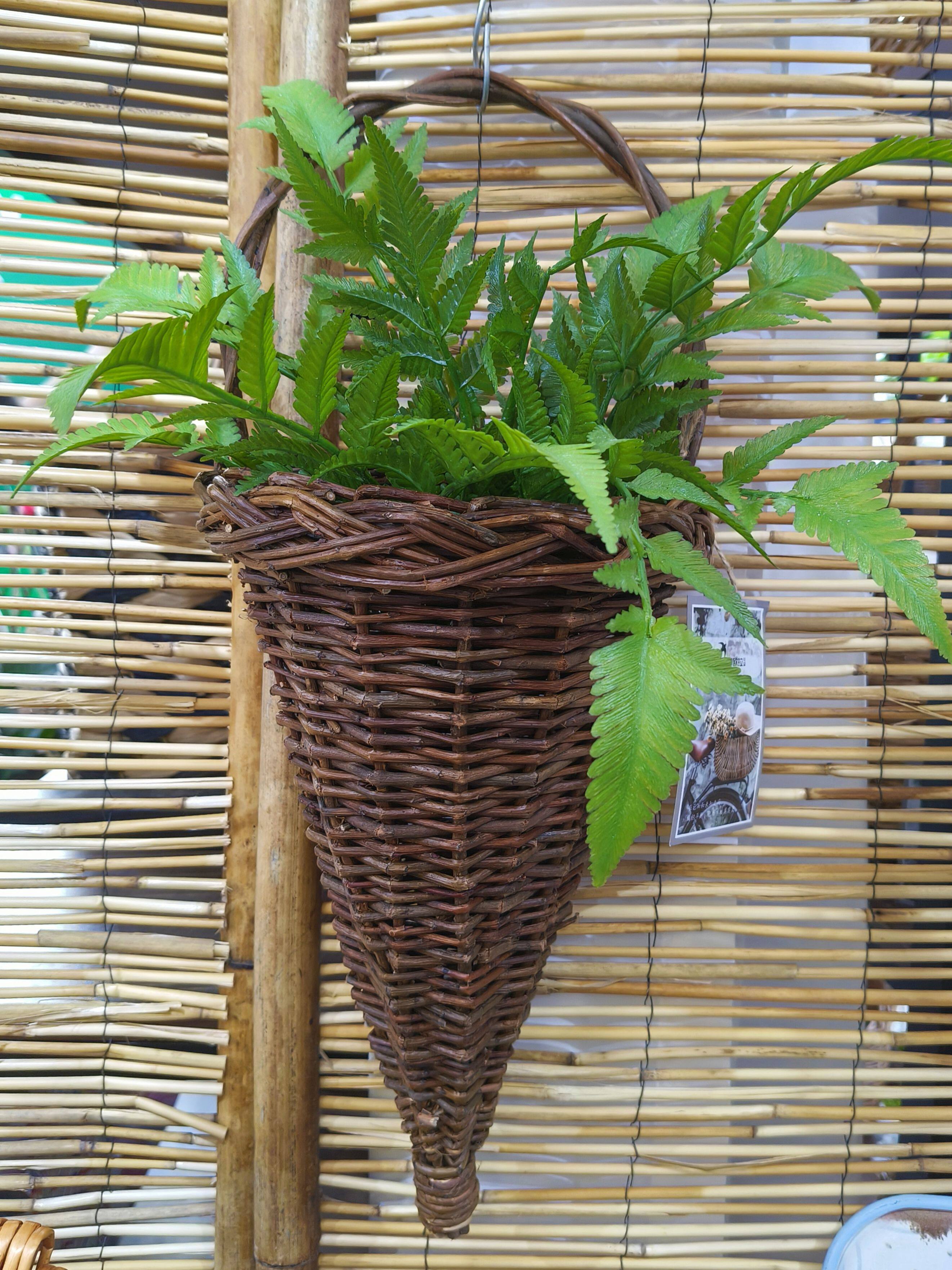 柳编藤编花盆阳台花束装饰插花篮子墙壁挂式花篮收纳悬挂编织花器