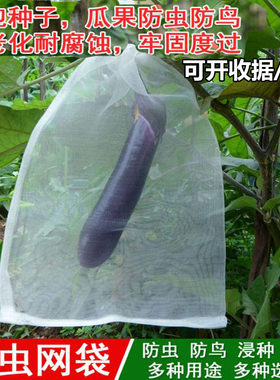 白色尼龙防虫网袋种子袋大浸种袋细滤网火龙果套袋防果蝇防鸟包邮