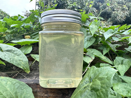 农家自产野生纯正天然水白洋槐蜜槐花蜂蜜无添加原蜜1000克