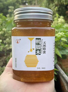 蜂农直销自产野生纯正天然鸭脚木冬蜜鹅掌柴蜂蜜结晶蜜无添加