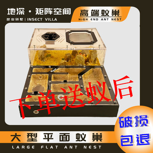 矩阵空间 混凝土平面亚克力蚁巢 可拓展弓背蚁猛蚁牛蚁蚂蚁生态缸