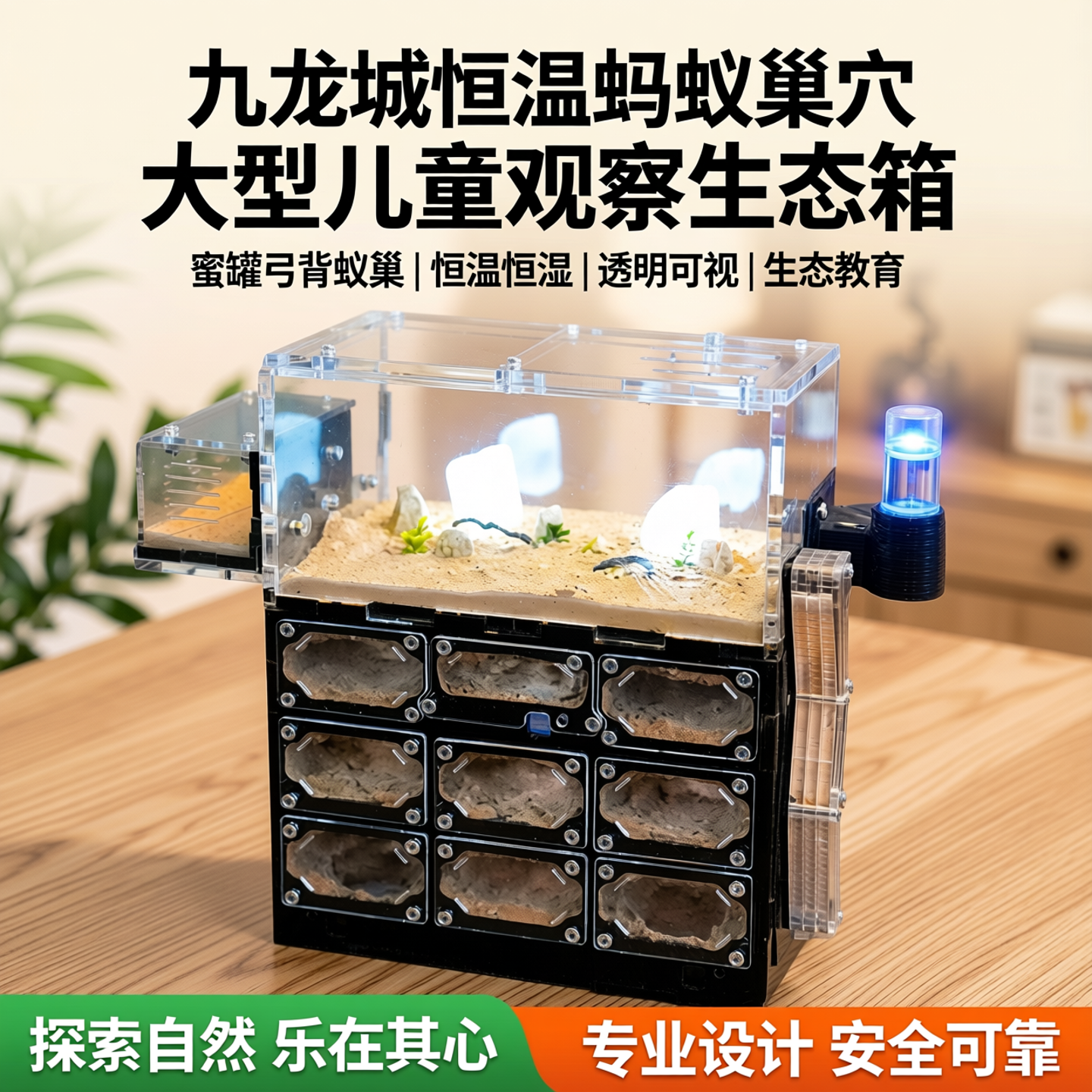 九龙城恒温蚂蚁巢蜜罐蚁观察儿童自然科普教育课堂生态箱亲子互动