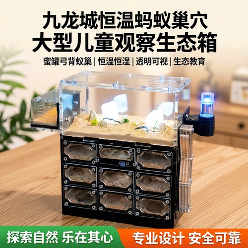 九龙城桌面恒温蚂蚁巢穴