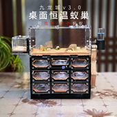 九龙城桌面恒温蚂蚁巢穴饲养盒大型蚂蚁生态缸儿童自然科学观察