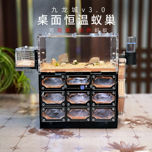 九龙城桌面恒温蚂蚁巢穴饲养盒大型蚂蚁生态缸儿童自然科学观察