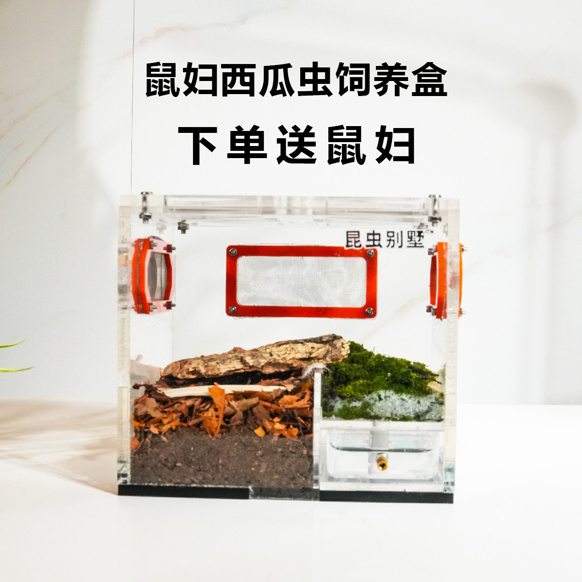 懒人治愈小宠物鼠妇饲养盒儿童自然观察生态箱桌面迷你鼠妇观察箱