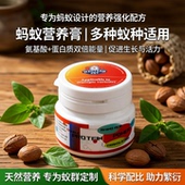 蚂蚁营养膏蜜罐蚁弓背蚁猛蚁铺道蚁树栖蚁举腹蚁食物收获蚁营养液