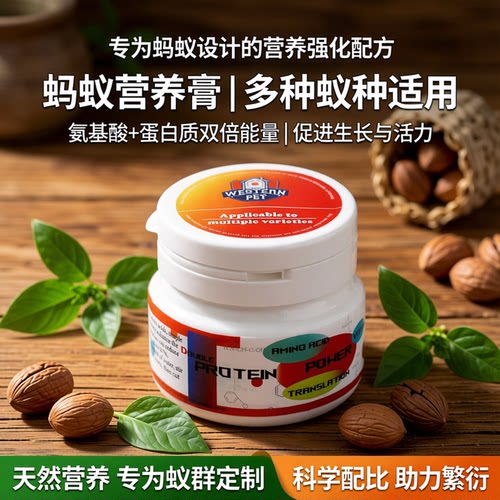 蚂蚁营养膏蜜罐蚁弓背蚁猛蚁铺道蚁树栖蚁举腹蚁食物收获蚁营养液