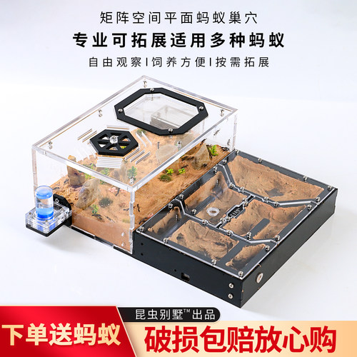 矩阵空间平面可拓展蚂蚁巢