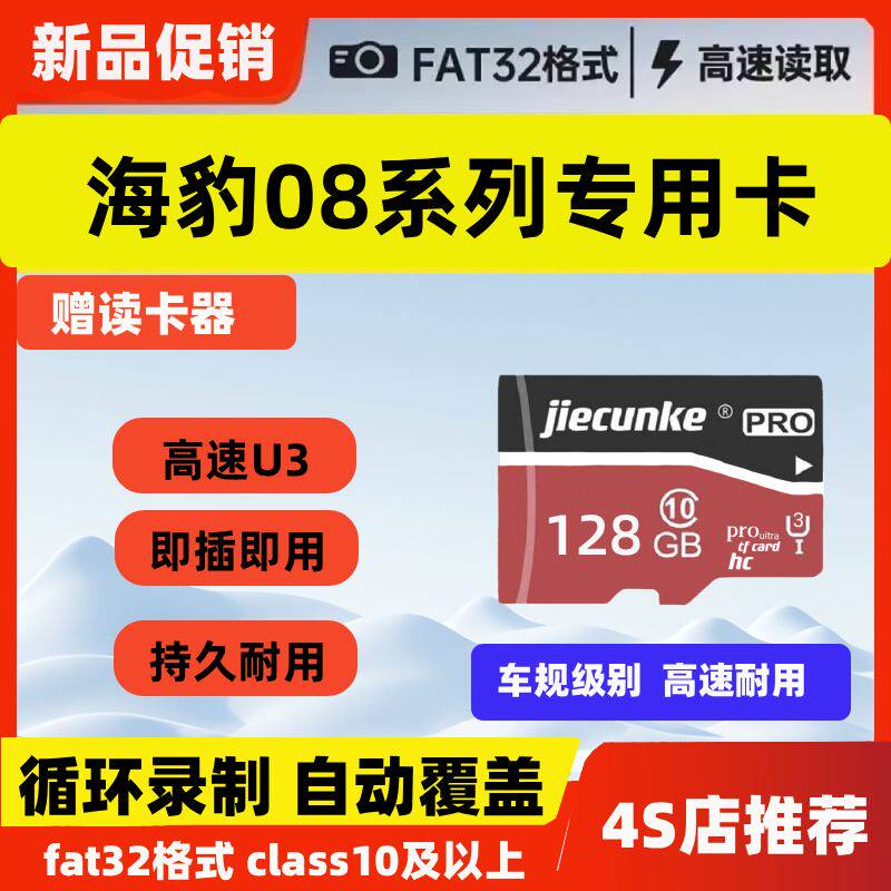 比亚迪海豹08EV行车记录仪专用内存卡海豹08Dmi哨兵存储卡tf卡sd