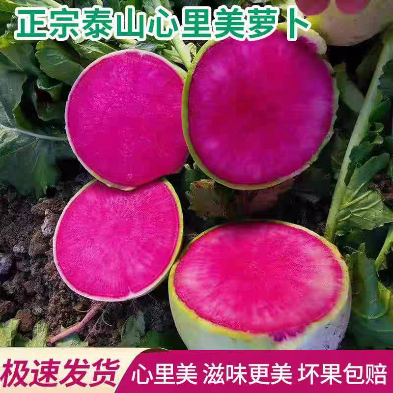 山东心里美新鲜水果萝卜生吃现拔现发绿皮红心满堂红萝卜胭脂蔬菜,水产肉类/新鲜蔬果/熟食,萝卜/胡萝卜,淘宝优惠券,粉丝福利购,淘宝优惠卷