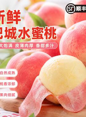 现摘山东肥城水蜜桃当季新鲜水果软甜多汁