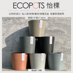 ECOPOTS怡棵 比利时进口树脂花盆13CM生石花仙人球块根绿植北欧风