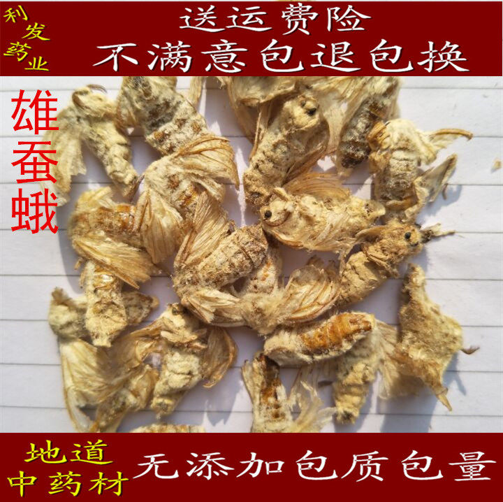 中药材 雄蚕蛾  蚕蛾 晚蚕蛾 免费磨粉质量保证 500克68元包邮