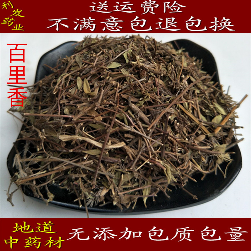 中药材百里香 百里香草 地椒包邮  500克35元 正品包含量