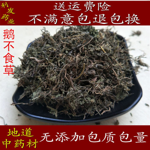 中药材 鹅不食草 石胡蒌 地胡椒 三牙戟 500克25元包邮正品包含量
