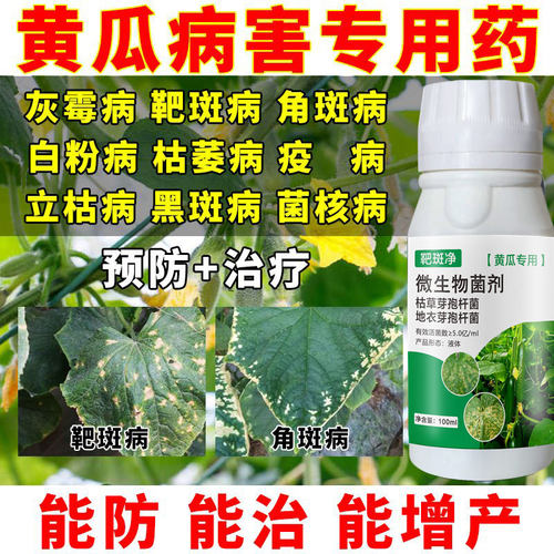 黄瓜专用药靶斑净黄瓜病角斑靶斑白粉霜霉灰霉叶枯立枯病杀菌剂