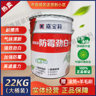 嘉宝莉速易涂防霉劲白墙面漆家用净味内墙环保水性涂料乳胶漆22KG