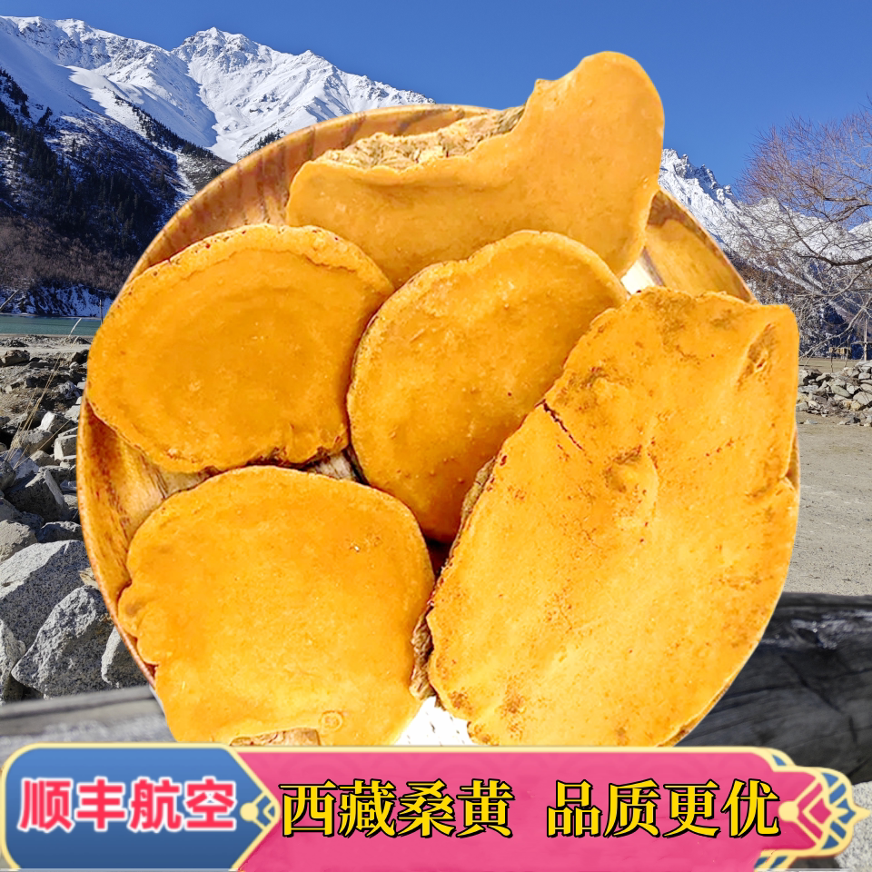 西藏高原野生桑黄白心赤灵芝林芝干货正品灵芝菌种中药材泡茶