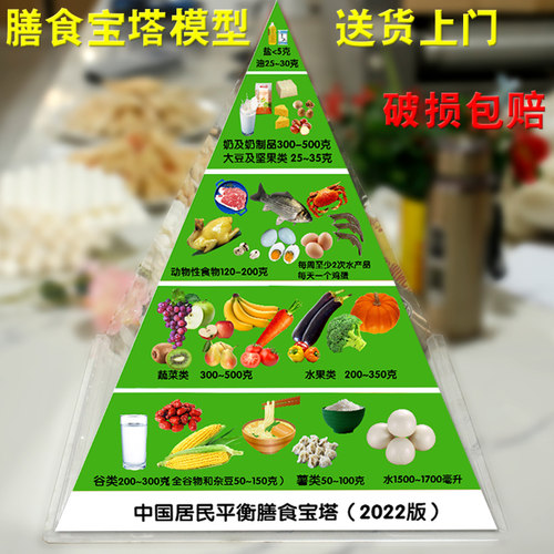 【真滋味】2022新版膳食宝塔模型