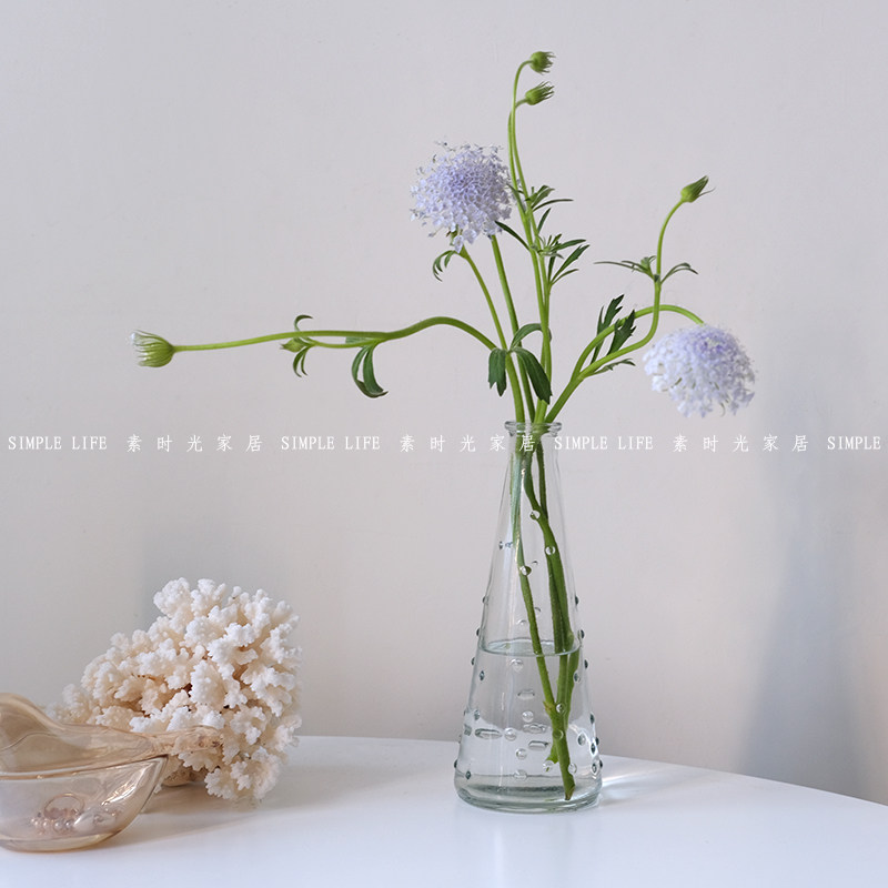 北欧风极简ins透明玻璃圆锥形花瓶 雨点花瓶桌面水培花瓶插花器