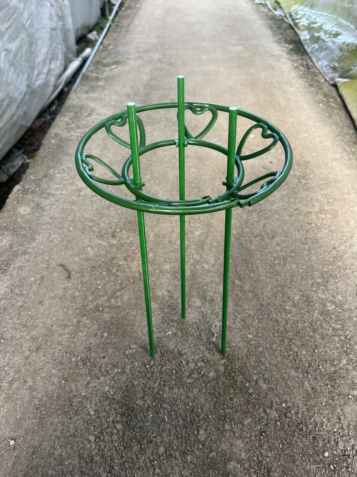 蟹爪兰支架花架爬藤植物花架简单美观耐用