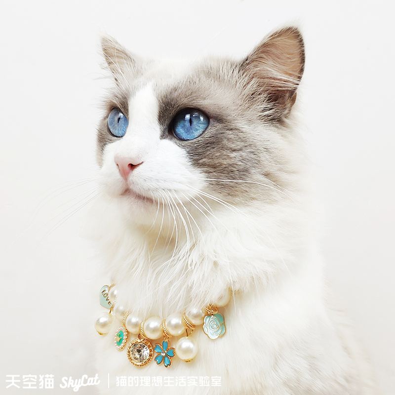 手工猫咪项链珍珠布偶项圈小猫拍照装饰幼猫用品猫牌可爱宠物饰品
