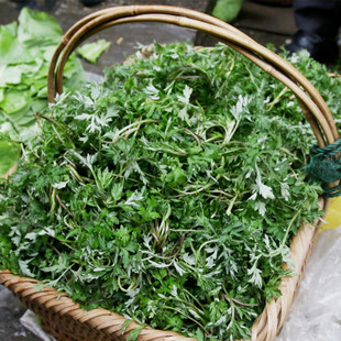 2026湖南湘西深山社饭原料野生蒿菜蒿草蒿子粑粑清明野菜苦蒿现摘