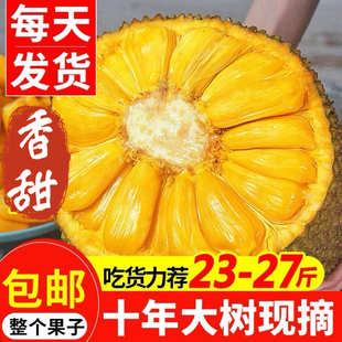 海南菠萝蜜一整个新鲜水果当季黄肉波罗蜜整箱特产包邮15-40斤甜