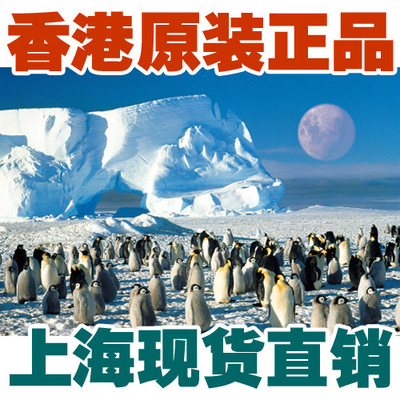 香港礼物企鹅聚会智力拼图