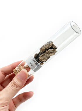 天然闪电熔岩玻璃瓶软木封装摆件